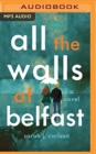 Image for ALL THE WALLS OF BELFAST