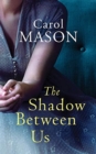 Image for The shadow between us