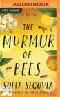 Image for The murmur of bees