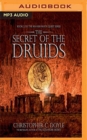 Image for The secret of the druids