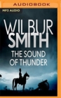 Image for SOUND OF THUNDER THE