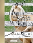 Image for Pratica Disegno - XXL Eserciziario 11 : Cavallo