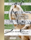 Image for Pratica Desenho - XXL Livro de Exercicios 11 : Cavalos