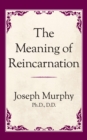 Image for Meaning of Reincarnation
