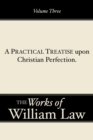 Image for Practical Treatise upon Christian Perfection, Volume 3