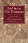 Image for Spirit in the New Testament: An Enquiry into the Use of the Word PNEUMA in all Passagas, and a Survey of the Evidence concerning the Holy Spirit
