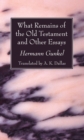 Image for What Remains of the Old Testament and Other Essays