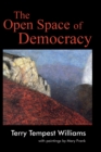 Image for Open Space of Democracy