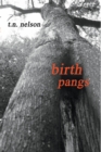 Image for Birth Pangs