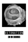 Image for Detonation