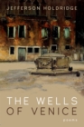 Image for Wells of Venice: Poems