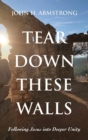 Image for Tear Down These Walls