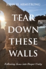 Image for Tear Down These Walls: Following Jesus Into Deeper Unity
