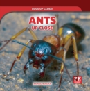 Image for Ants Up Close