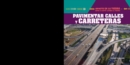 Image for Pavimentar calles y carreteras (Paving Roads and Highways)