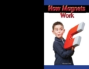 Image for How Magnets Work