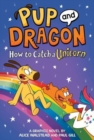 Image for How to catch a unicorn  : a graphic novel