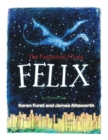 Image for The Fantastical Flying Felix : In Central Park