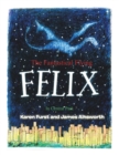 Image for The Fantastical Flying Felix: In Central Park