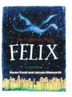 Image for The Fantastical Flying Felix : In Central Park