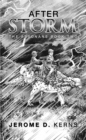 Image for After the Storm: The Assonans Book Two