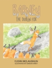 Image for Barney  the Dublin Fox