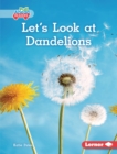 Image for Let&#39;s Look at Dandelions