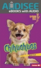 Image for Chihuahuas