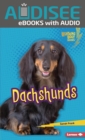 Image for Dachshunds