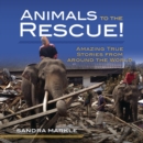 Image for Animals to the Rescue!: Amazing True Stories from around the World