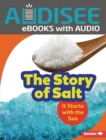 Image for Story of Salt: It Starts with the Sea