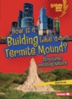 Image for How Is a Building Like a Termite Mound?