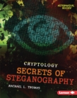 Image for Secrets of Steganography