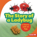 Image for Story of a Ladybug