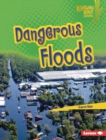 Image for Dangerous Floods
