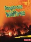 Image for Dangerous Wildfires