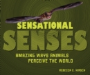 Image for Sensational Senses