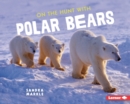 Image for On the Hunt with Polar Bears