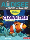 Image for Clown Fish
