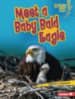 Image for Meet a Baby Bald Eagle