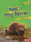 Image for Meet a Baby Beaver