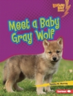 Image for Meet a Baby Gray Wolf