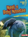 Image for Meet a Baby Manatee