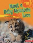 Image for Meet a Baby Mountain Lion