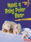 Image for Meet a Baby Polar Bear