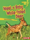Image for Meet a Baby White-Tailed Deer