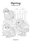Image for Spring Coloring Book for Grown-Ups 1