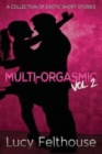 Image for Multi-Orgasmic Vol 2 : A Collection of Erotic Short Stories : 2