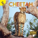 Image for Cheetah