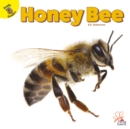 Image for Honey Bee